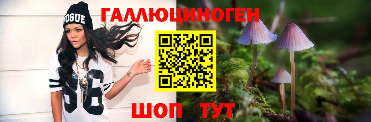 Псилоцибиновые грибы Magic Shrooms Звенигород